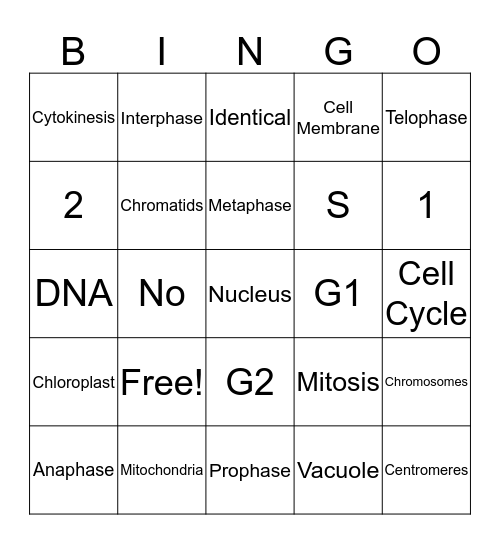 Mitosis Bingo Card