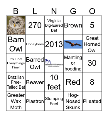 Richmond Wildlife Center Wildlife Trivia Blingo Bingo Card