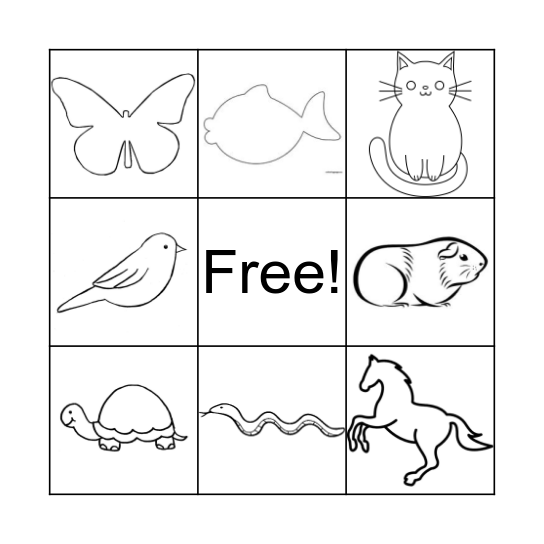 Animals Bingo Card