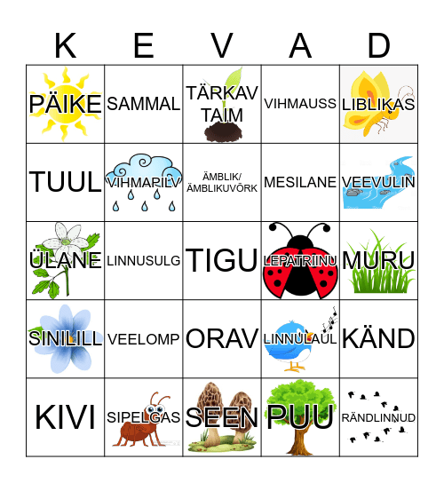 MÄRKA, KUULA, TUNNETA! Bingo Card