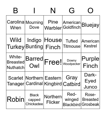 Ohio Birds Bingo Card
