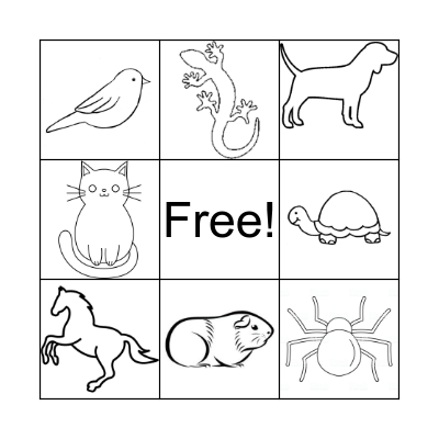 Animals Bingo Card