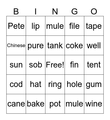 I can spell-short vowel & long vowel review Bingo Card