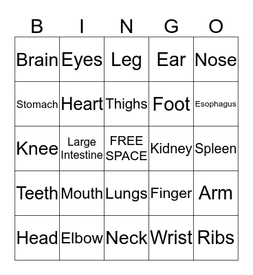 Doctor Heath Bingo Card