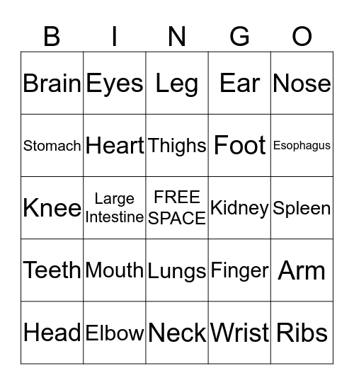 Doctor Heath Bingo Card