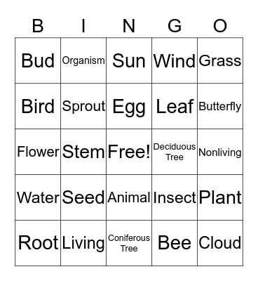 Spring Biology Scavenger Hunt K-1st Grade Bingo Card