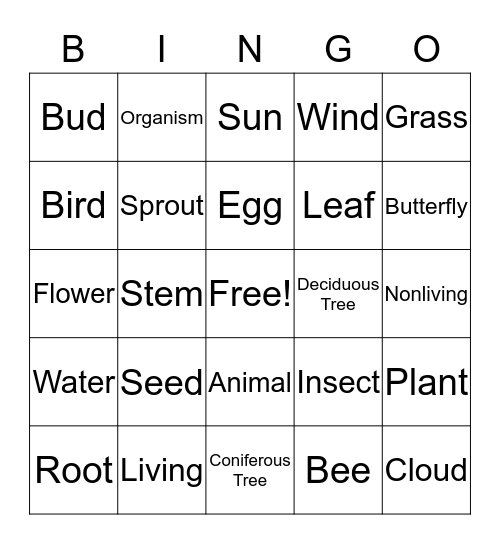 Spring Biology Scavenger Hunt K-1st Grade Bingo Card