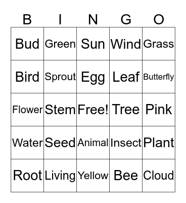 Spring Biology Scavenger Hunt PK-K Grade Bingo Card