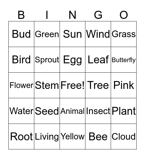 Spring Biology Scavenger Hunt PK-K Grade Bingo Card