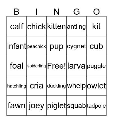 Baby Animals Bingo Card