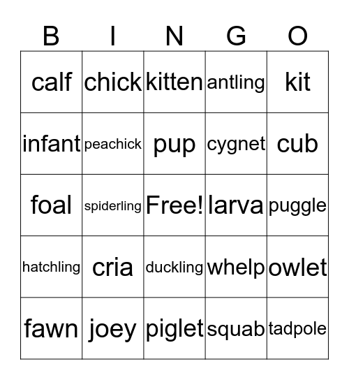Baby Animals Bingo Card