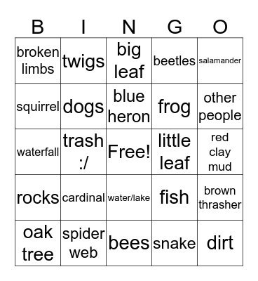 nature walk Bingo Card