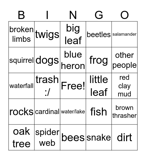 nature walk Bingo Card