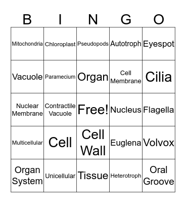 Cells Bingo Card