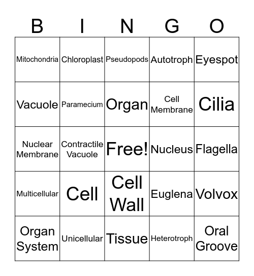 Cells Bingo Card