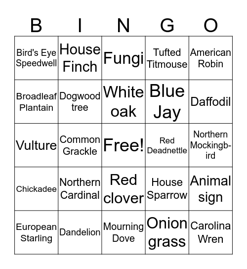 Nature Walk Bingo Card