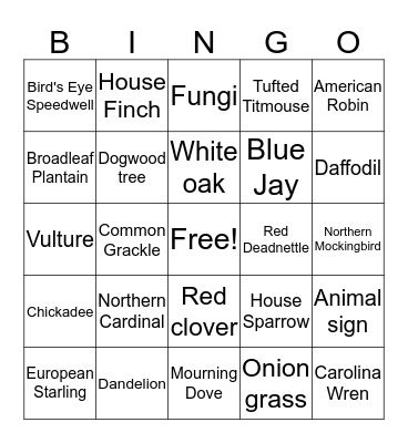 Nature Walk Bingo Card