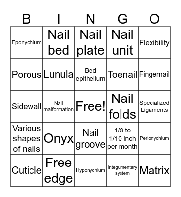 Nail Structure Bingo Card