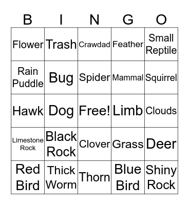 nature Bingo Card