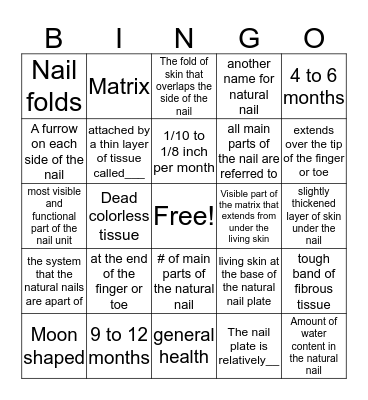 Nail Structure  Bingo Card