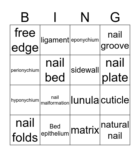 Nail structure  Bingo Card