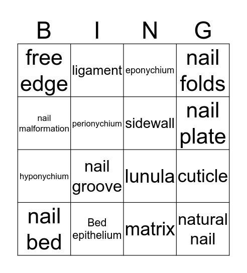 Nail structure  Bingo Card