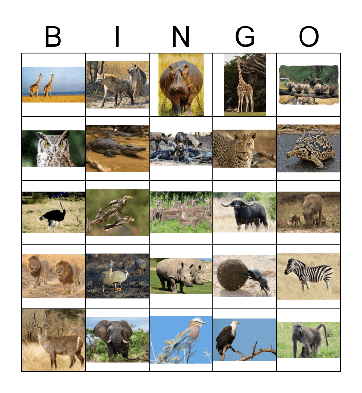 Wild Animals Bingo Card