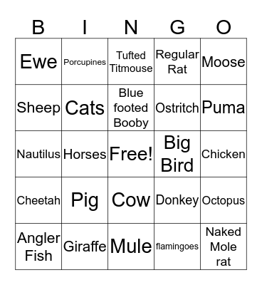 Sunday Night Quarantine Bingo Buckwild! Bingo Card
