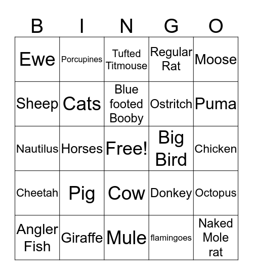 Sunday Night Quarantine Bingo Buckwild! Bingo Card