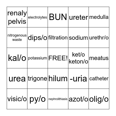Urinary System Bingo Card