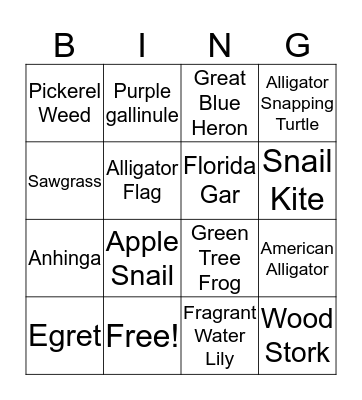 Everglades plants and animals Bingo Card