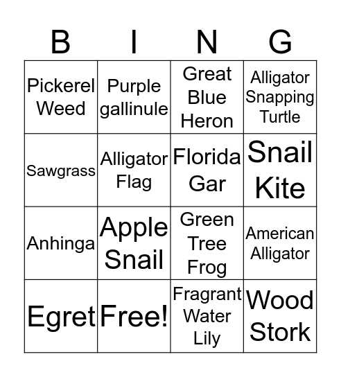 Everglades plants and animals Bingo Card