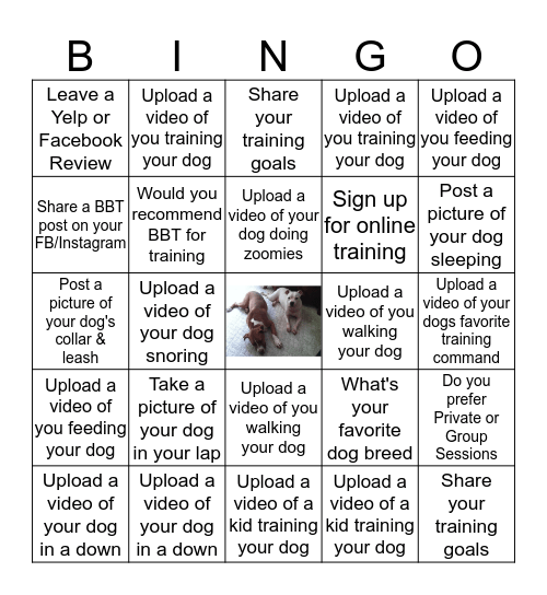 Bully Brigade Training Bingo Card