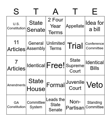 Georgia Government Bingo Card