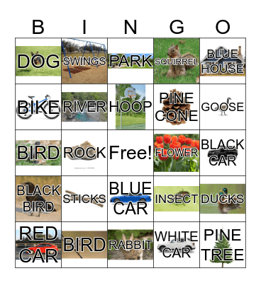 Nature Walk Bingo Card