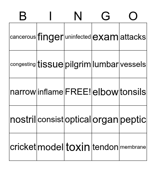 Multiple Syllabic Words Bingo Card