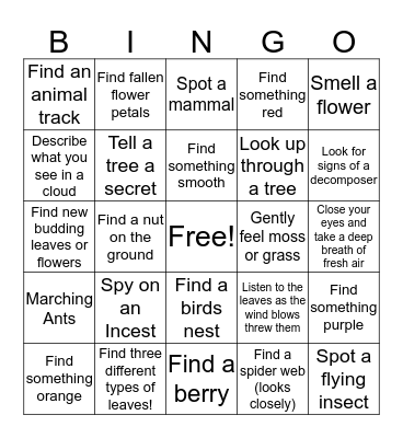 NATURE SCAVENGER HUNT  Bingo Card