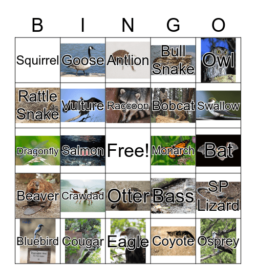 "Mouse" Finbar's Zoology Bingo Card