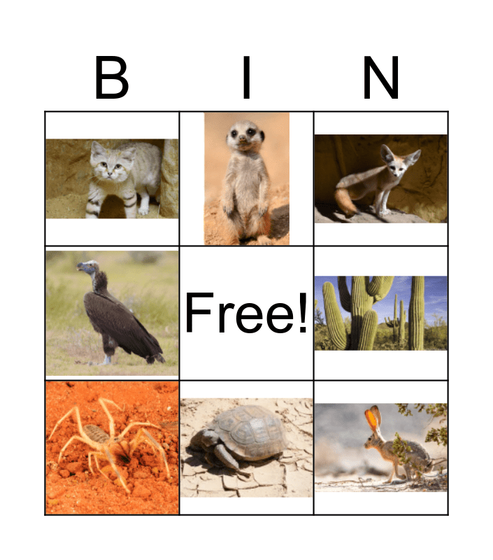 Desert Animals Bingo Card