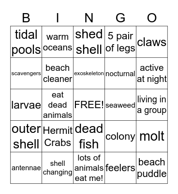 Beach Bingo Card