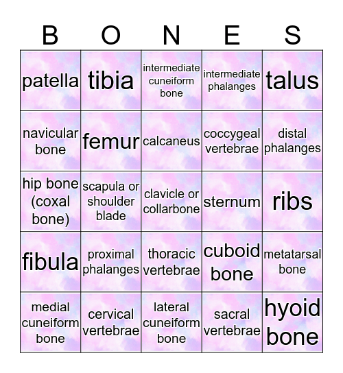 Human Bones Bingo Card