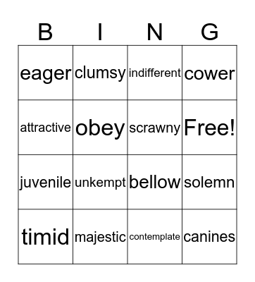 Vocabulary BINGO! Bingo Card