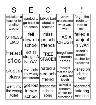 Never Have I Ever... (sec 1's) Bingo Card