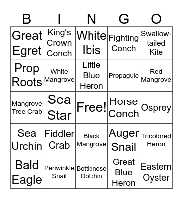 RTE Explorer Academy - Estuary Edition Bingo Card