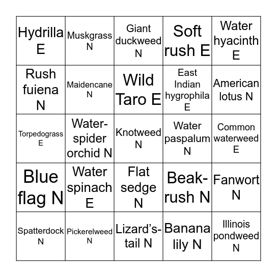 Aquatic Plant Identification Bingo Card