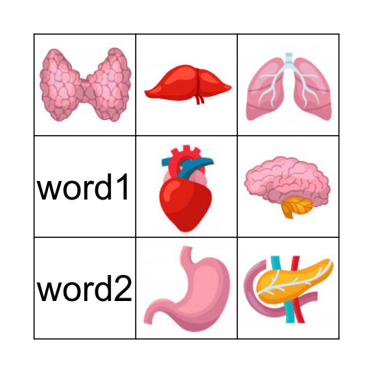 Organ Dalaman Manusia Bingo Card