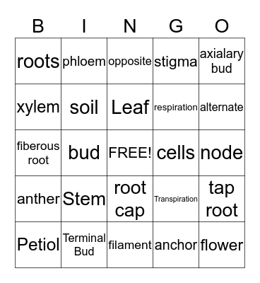 Parts of the Plant Bingo Card