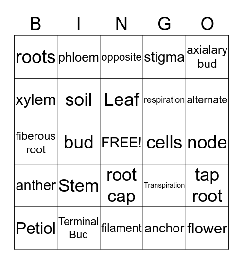 Parts of the Plant Bingo Card