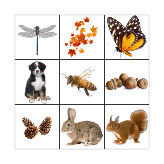 Nature Bingo Card