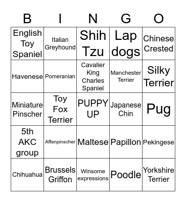TOY GROUP Bingo Card